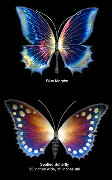 Blue Morpho-2 (above) and Spotted Butterfly (below), 33 inches wide, 15 inches tall