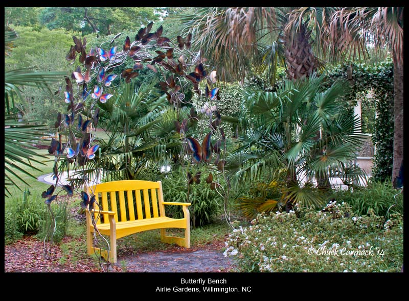  Butterfly Bench 